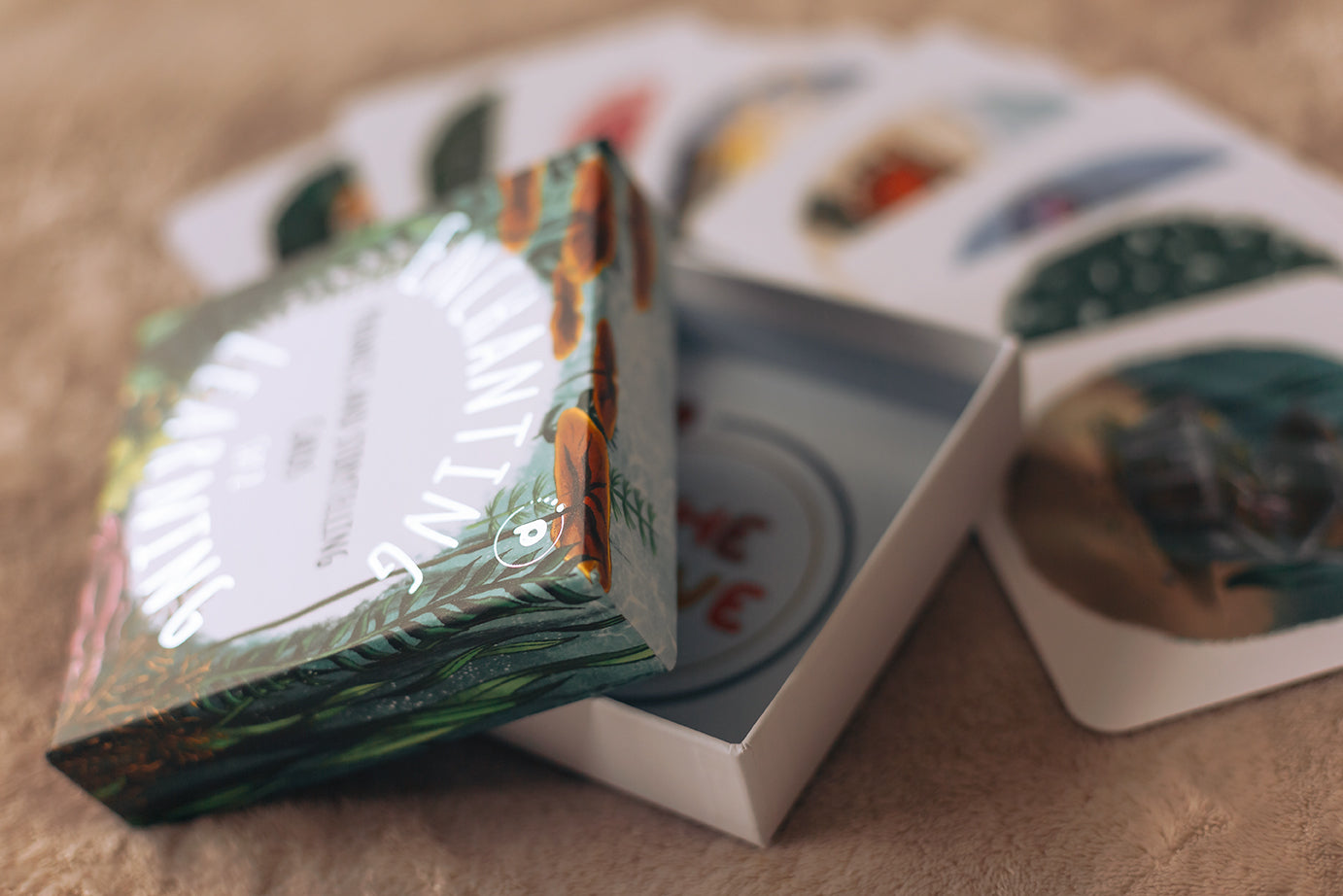 A enchanting learning box f phonics and storytelling cards showing the silver foil detail.