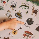 A child's finger pointing to the hedgehog on the woodland alphabet poster.