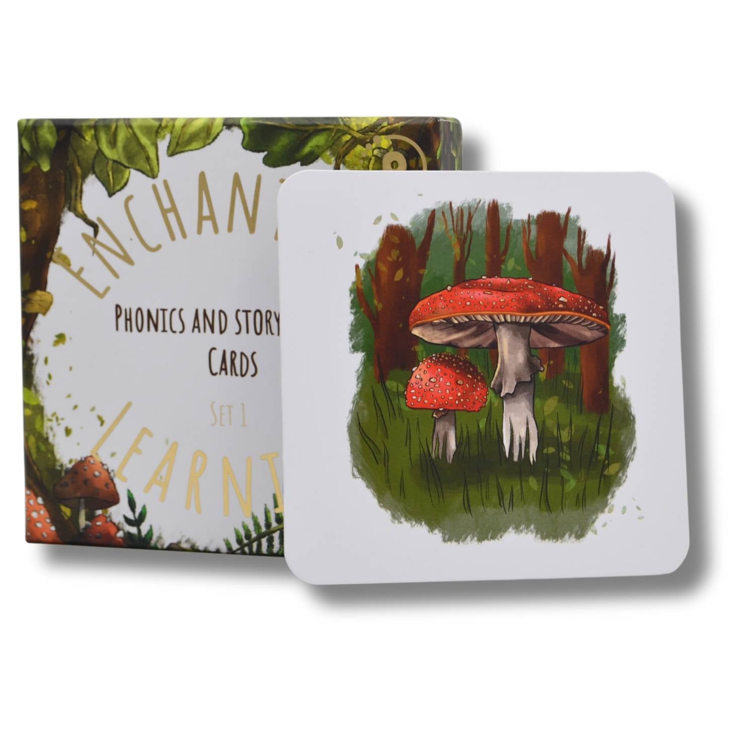 Mushroom phonics card leaning against phonics cards box.