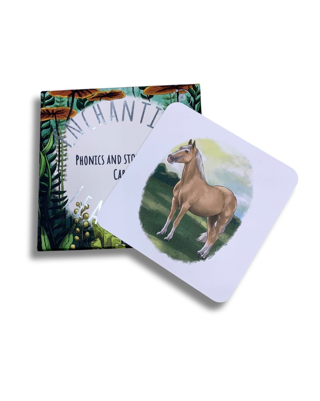 Storytelling cards showing a horse.