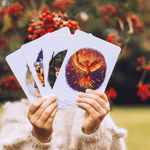 Girl in woods holding story writing cards showing phoenix .