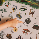 girl pointing to a hedgehog on her woodland power.