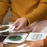 children handling learning cards.