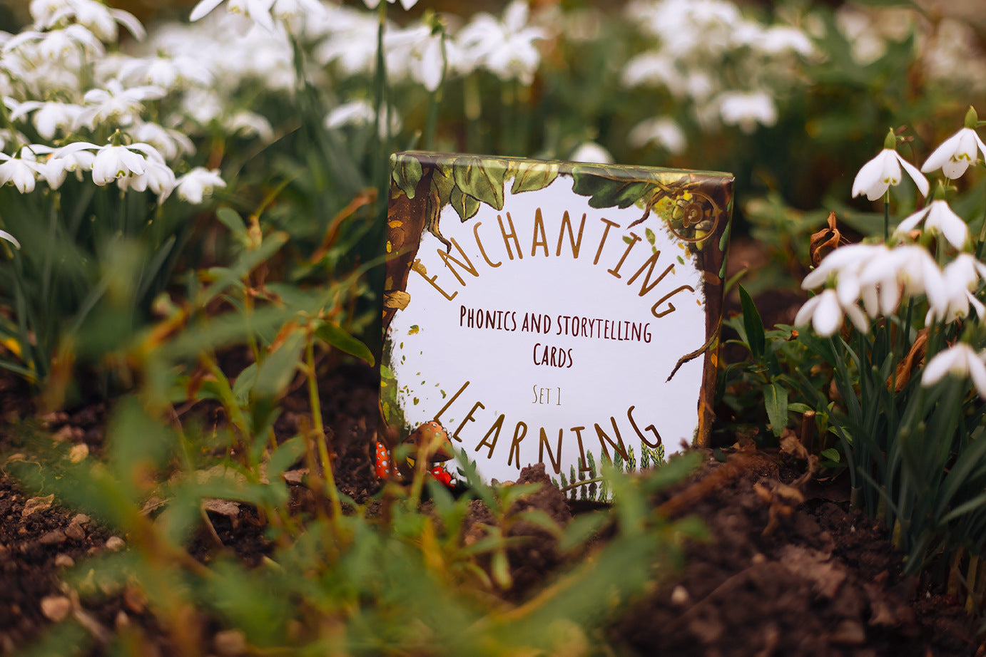 Pack of phonics cards nestled in snowdrops.