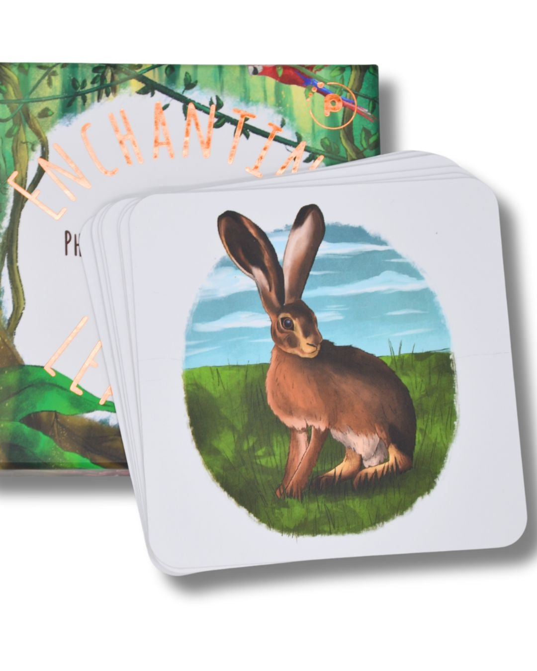 Set 3 phonics cards showing March hare illustration.