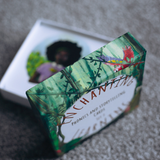 phonics cards showing a card with a girl on the front.