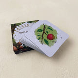 Set of educational phonics cards with nature-themed illustrations on a beige surface