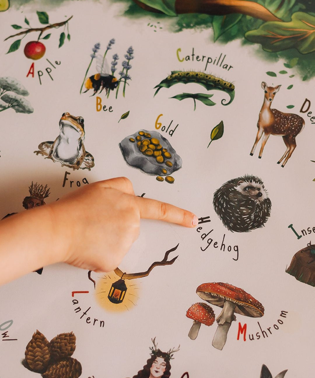 A child's finger pointing to the hedgehog on the woodland alphabet poster.