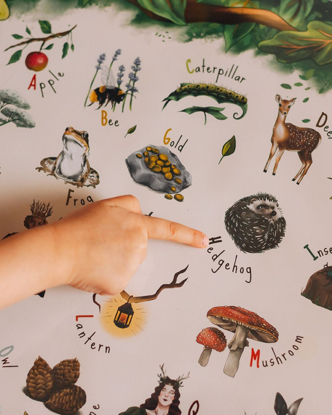 A child's finger pointing to the hedgehog on the woodland alphabet poster.