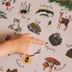 A child's finger pointing to the hedgehog on the woodland alphabet poster.